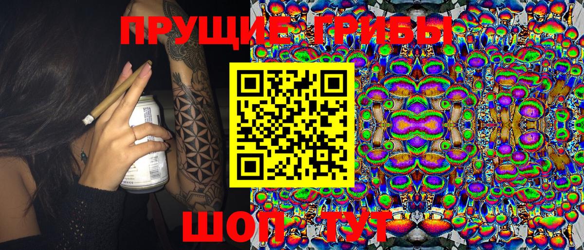 Галлюциногенные грибы мухоморы Буйнакск