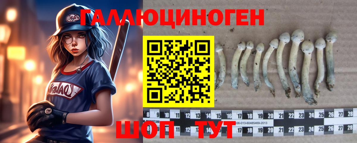 закладка  Псилоцибиновые грибы Psilocybine cubensis  Вход с VPN  Буйнакск 